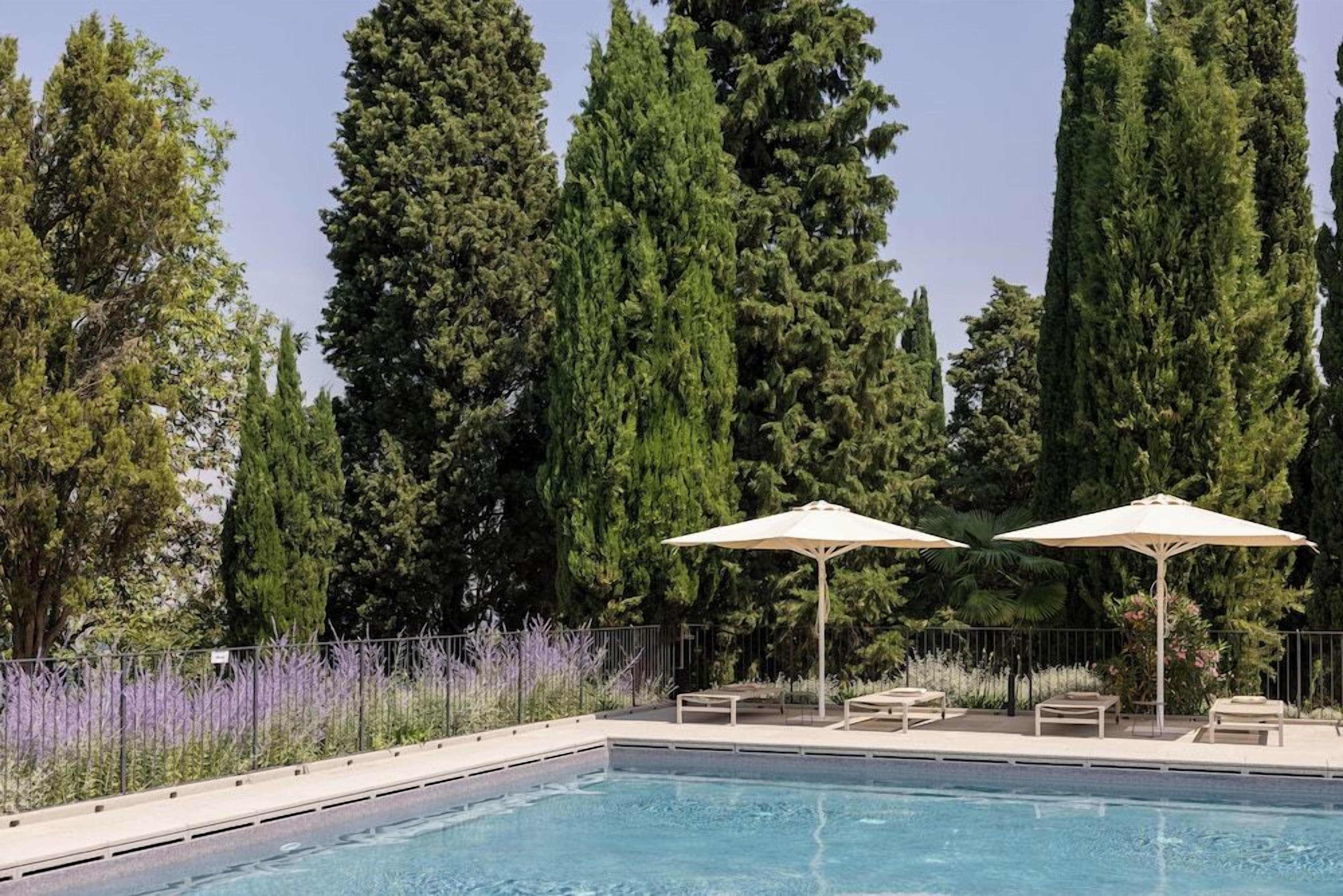 A swimming pool with lounge chairs and umbrellas, surrounded by tall trees.