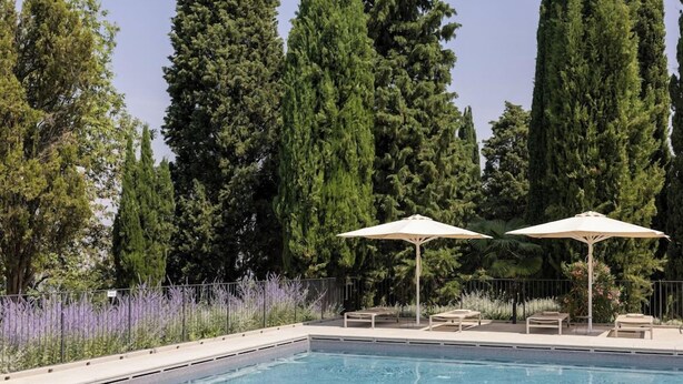 Ein Pool mit Liegestühlen und Sonnenschirmen, umgeben von hohen Bäumen.