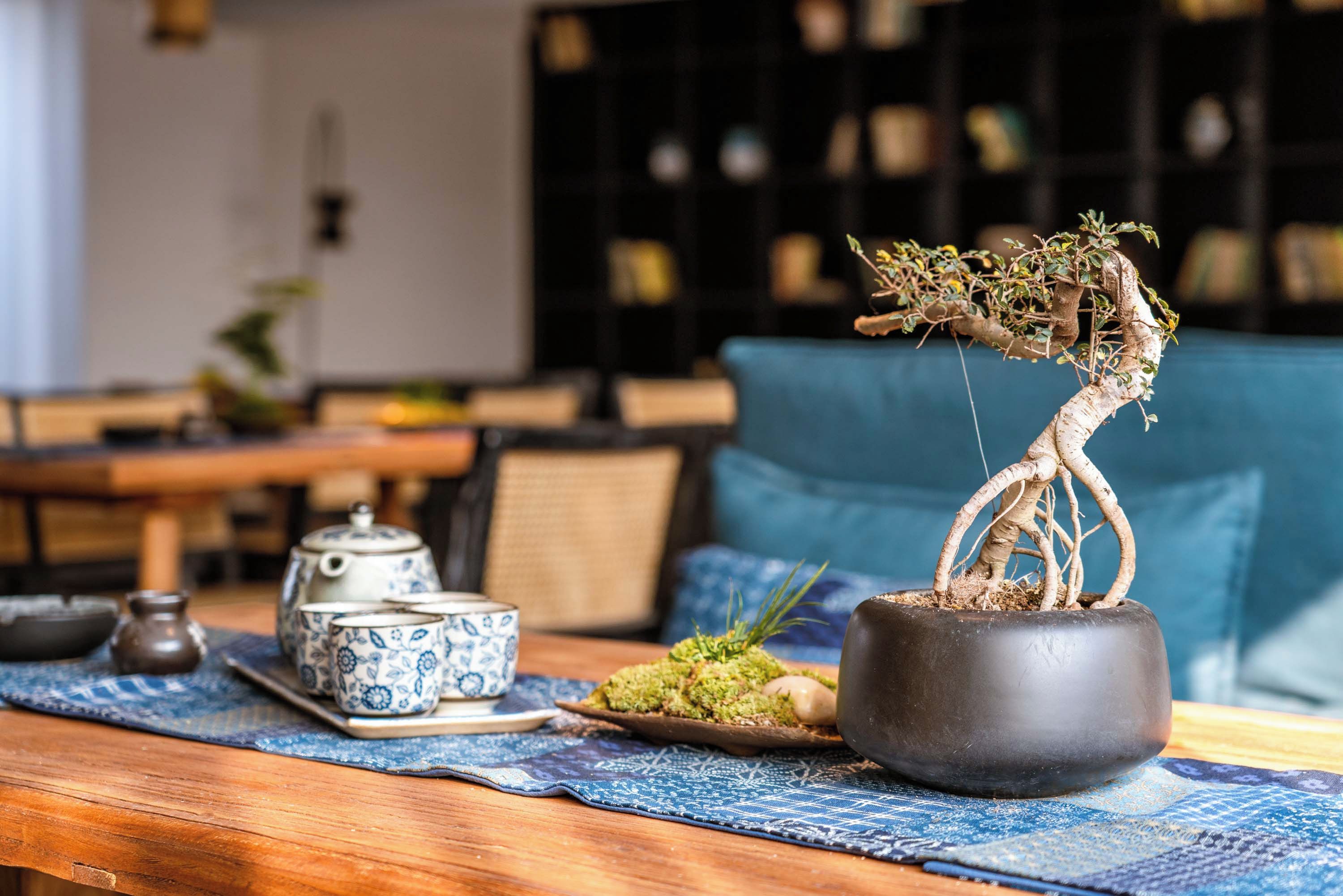 A traditional tea set on a table with a bonsai tree in a pot.
