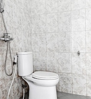A bathroom with a toilet, a shower, and a marble wall.