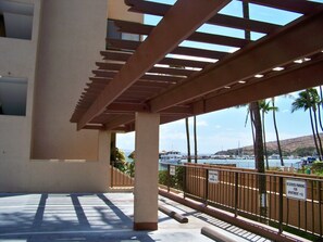 A covered outdoor area with a view of a marina and palm trees. - Turtles, Whales & Waves from Oceanfront Private Lanai (Wailuku)