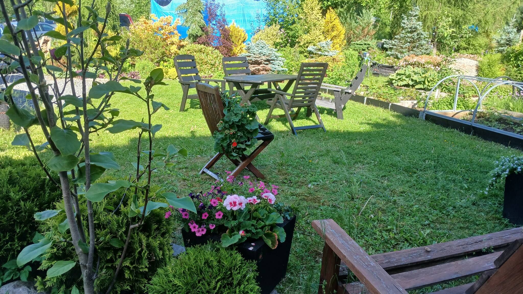 Un jardín con una mesa y sillas, rodeado de plantas y flores diversas.