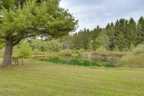 Een park met een grote boom, een bankje en een vijver, omringd door gras en bomen.