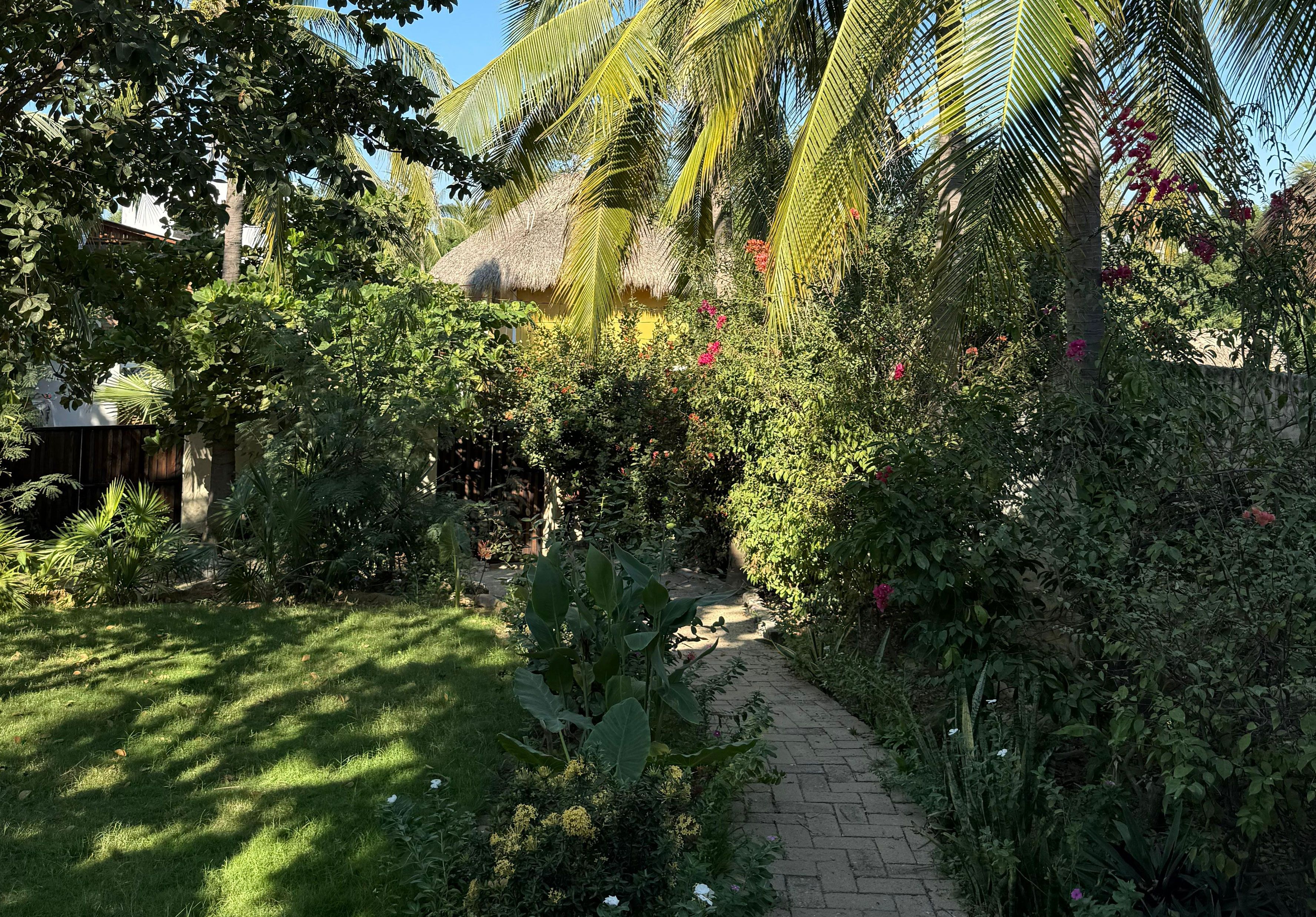 A garden pathway surrounded by lush greenery and palm trees.