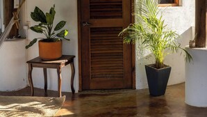 Uma porta rústica com moldura de madeira e uma janela com persiana de madeira. Há duas plantas em vasos, uma sobre uma pequena mesa e outra no chão.