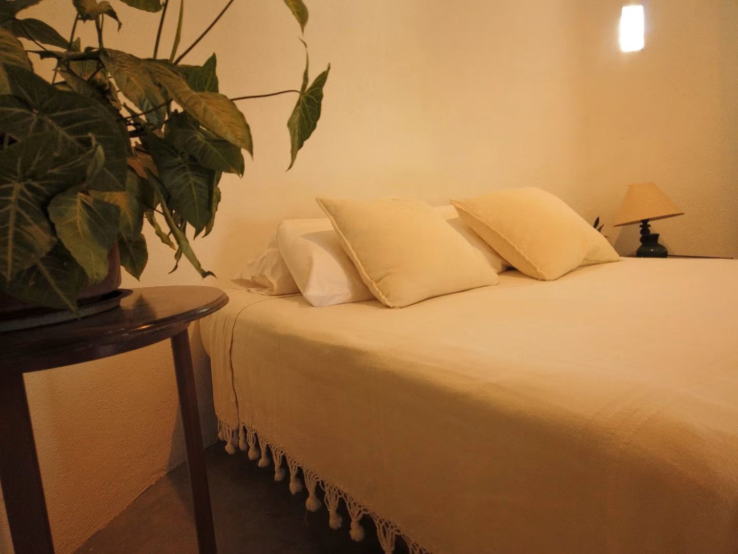 Ein Bett mit weißer Bettdecke und zwei Kissen, ein Nachttisch mit Lampe sowie eine Zimmerpflanze auf der linken Seite.