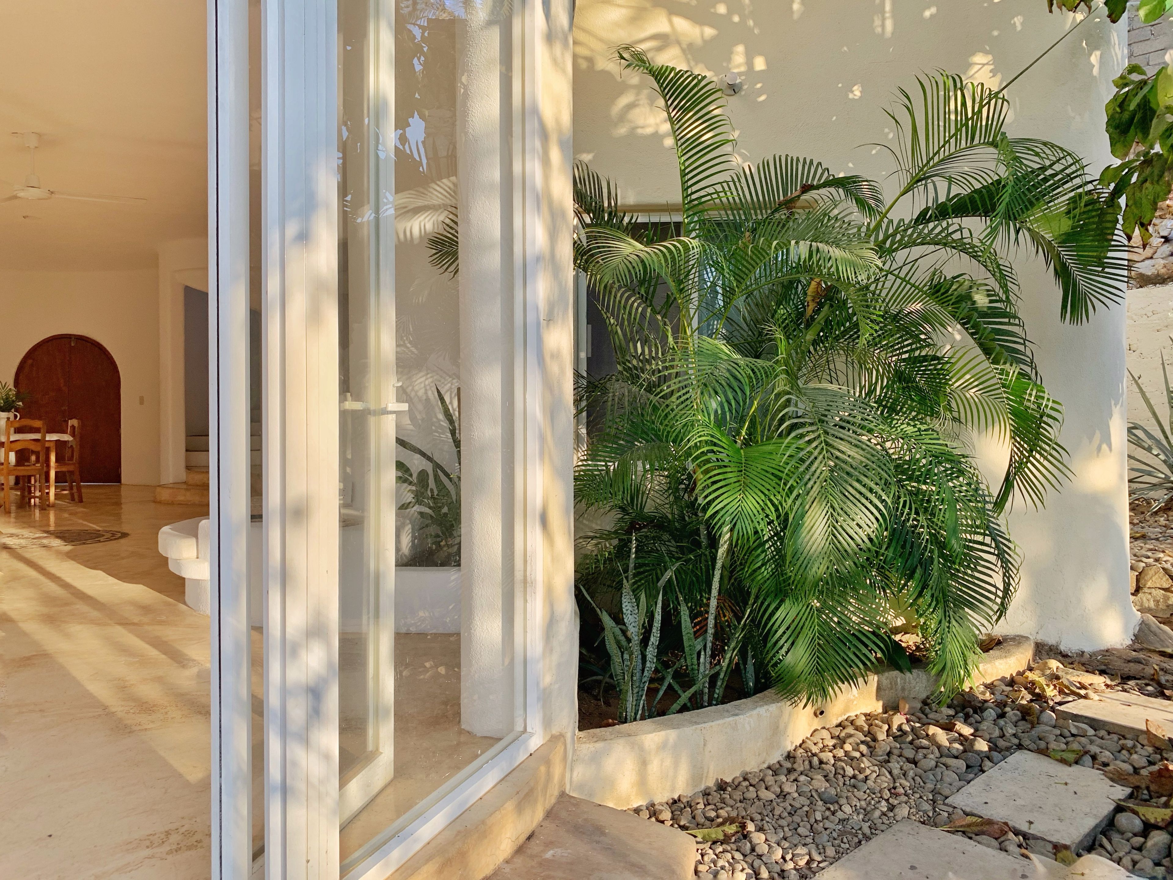Ein modernes Interieur mit einer Glastür, die zu einer Terrasse mit tropischen Pflanzen und einem Steinweg führt.