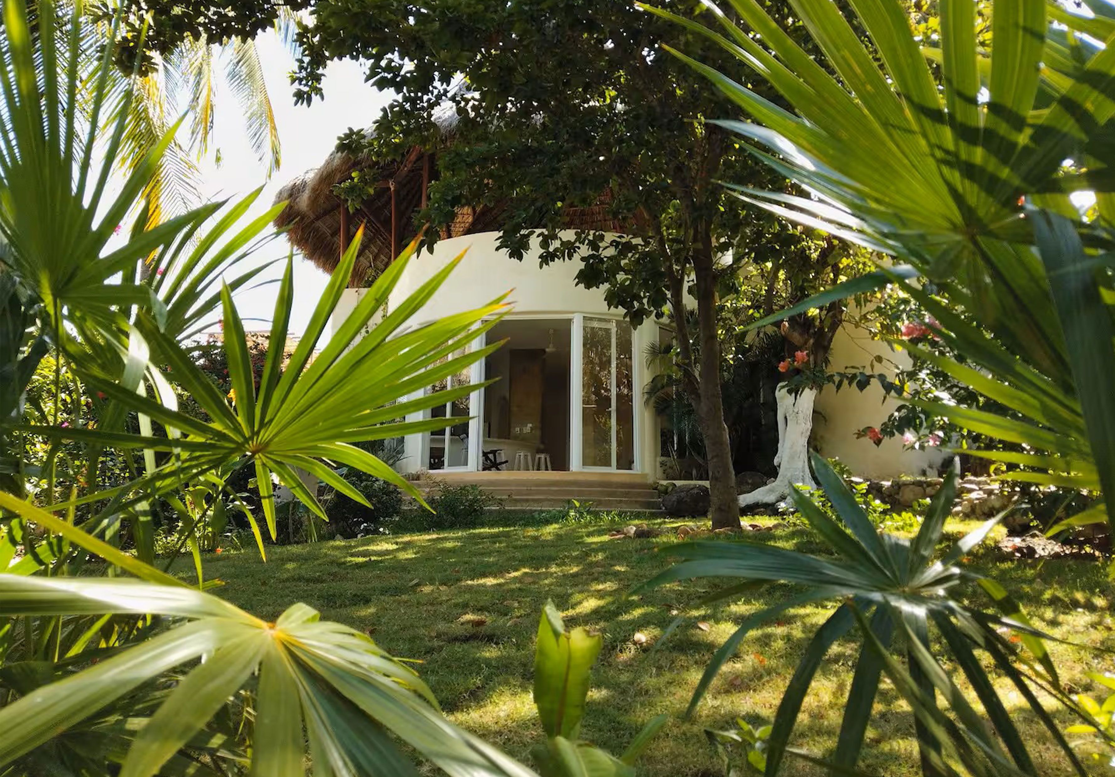 A house with a covered porch, surrounded by lush greenery and palm trees.