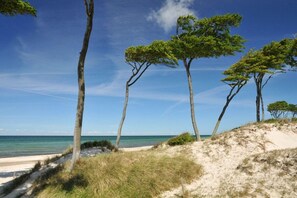 A beach with sand dunes, trees, and a clear blue sky. - Klipper (Captain Parow Holiday Residence) (Zingst)