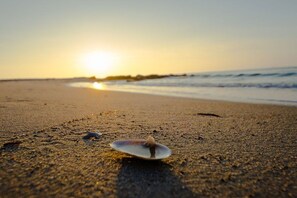 Une scène de plage avec un seul coquillage sur le sable et le soleil se couchant à l’horizon.