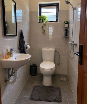 A bathroom with a sink, toilet, shower, and a small window with plants. - bedsitter r, (Juja)