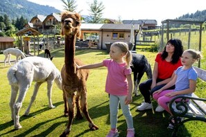 Eine Familie interagiert mit einem Lama in einer grünen Landschaft. Im Hintergrund sind eine Holzhütte und ein eingezäunter Bereich zu sehen.
