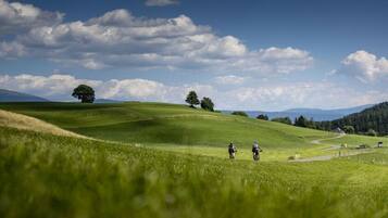 A grassy landscape with rolling hills and a clear sky.