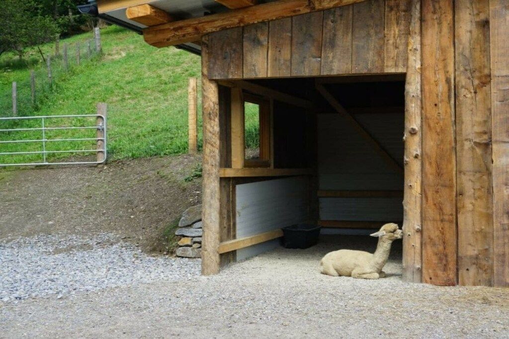Ein Holzgebäude mit Kiespflaster.