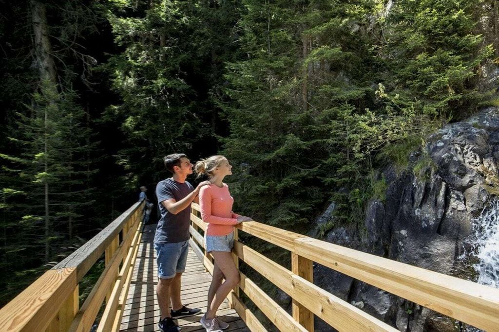 Un puente de madera con barandilla, rodeado de un bosque denso y una cascada.
