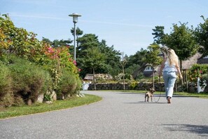 Een verhard pad in een woonwijk, met een hond aan de lijn, een vrouw aan het wandelen, en huizen met rieten daken op de achtergrond.