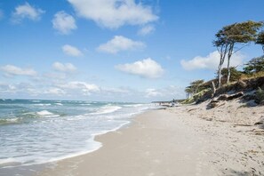 Une plage avec un ciel dégagé et une mer calme.