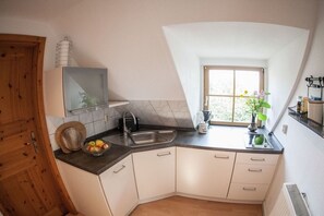 A compact kitchen with a sink, countertop, and a window with a view. - Holiday apartment with 1 bedroom (Carinerland OT Neu Karin)