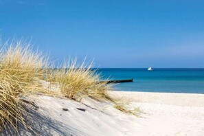 A beach with sand dunes and a clear blue sky. - ||--------------------Reed Warbler 30------------------|| (Fuhlendorf)