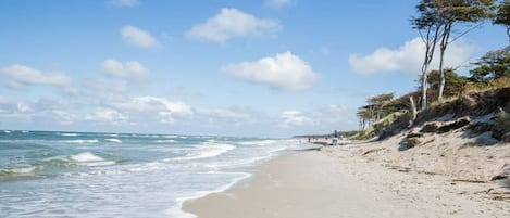 A beach with a clear sky and calm sea.
