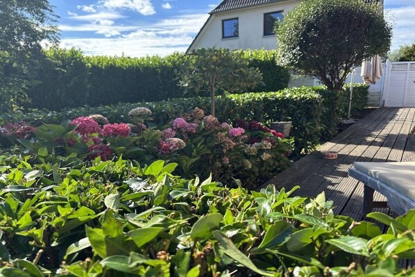 A garden with various plants and flowers, a wooden deck, and a house in the background. - Holiday home in Bastorf with swimming pool (Bastorf)