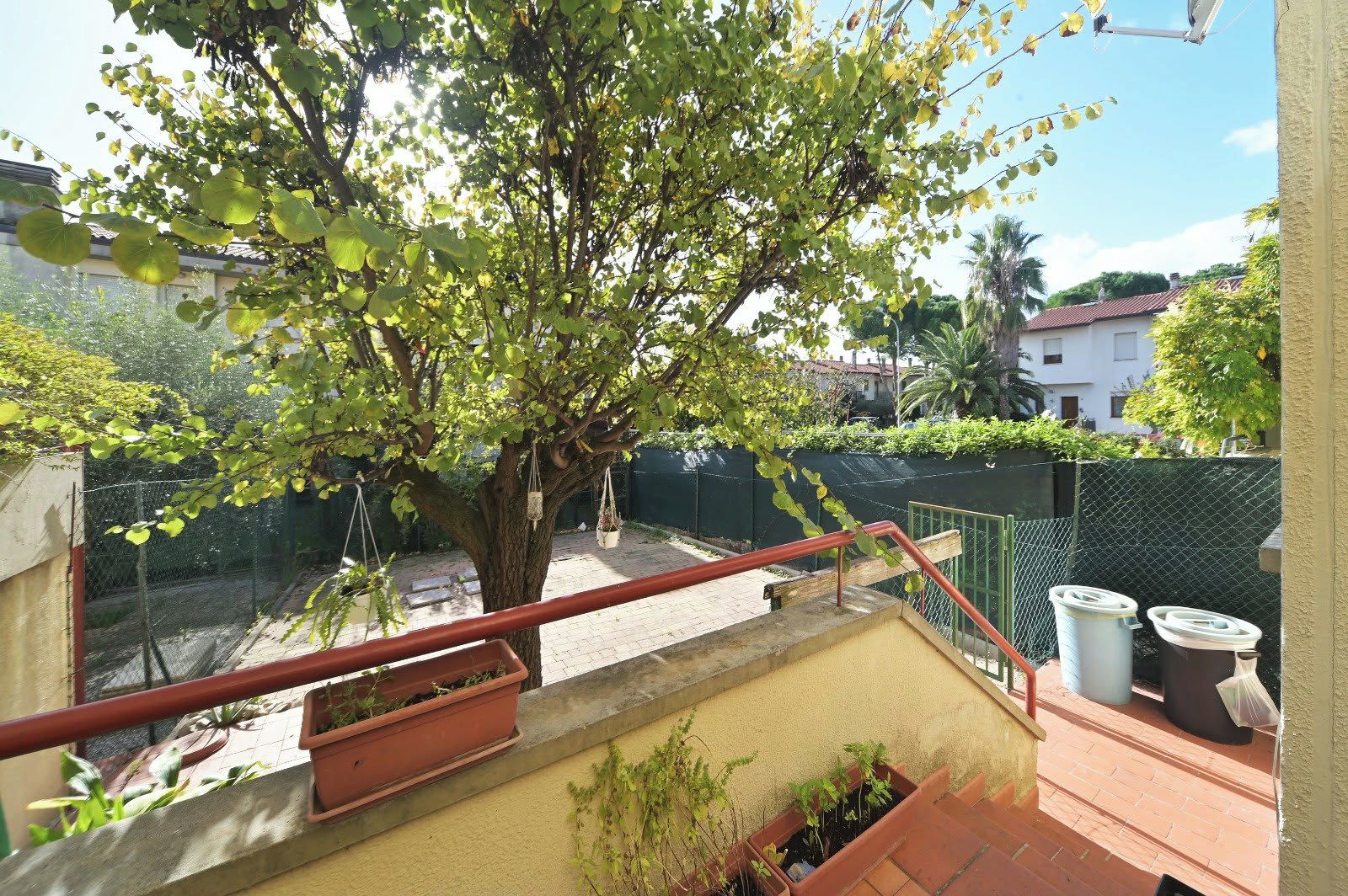 Ein Balkon mit Baum, Geländer und Blumentöpfen.