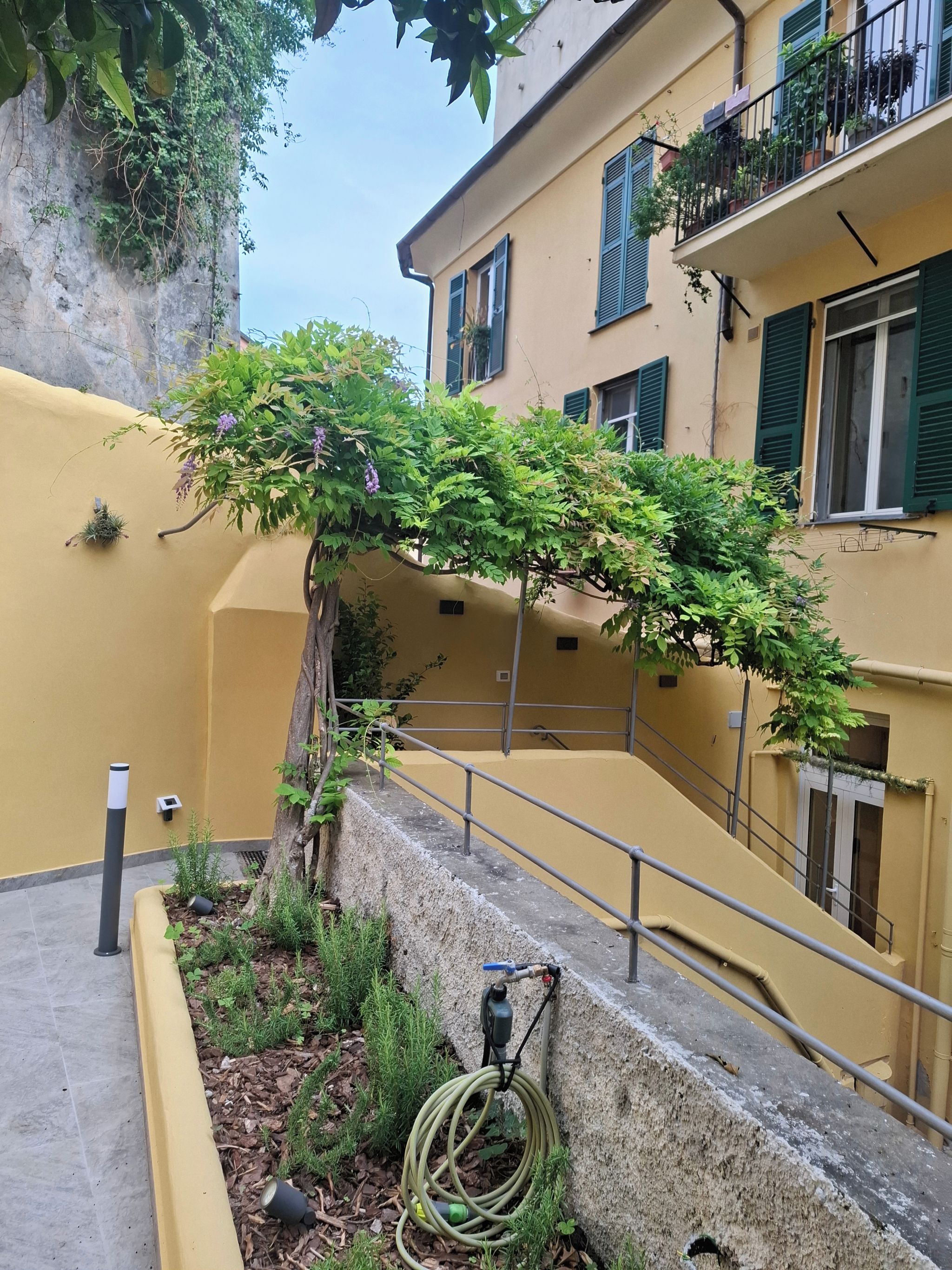 A yellow building with a staircase, a garden with a hose, and a tree with purple flowers.