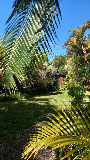 A garden with palm trees, a wooden structure, and a variety of plants. - Beautiful vacation villa 🌴 (Le Tampon)