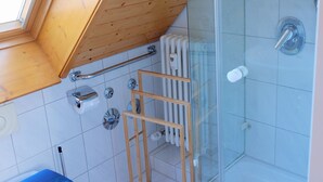 A bathroom with a skylight, a shower, and a toilet. - Vrbo Property (Freiburg im Breisgau)