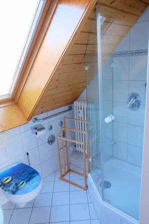 Ein Badezimmer mit Dachfenster, Dusche und Toilette.