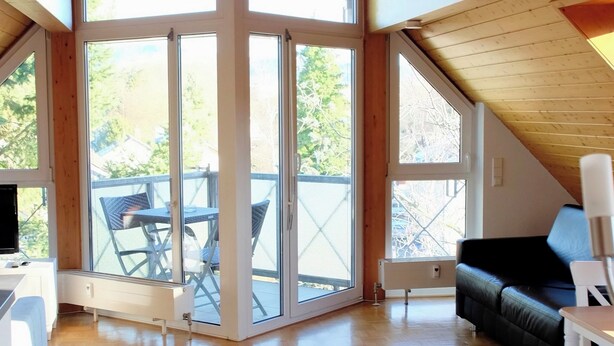 A spacious room with a high ceiling, large windows, and a view of the outdoors. - Vrbo Property (Freiburg im Breisgau)
