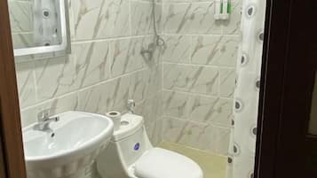 Une salle de bain équipée de toilettes, d’un lavabo, d’une douche et d’un miroir.