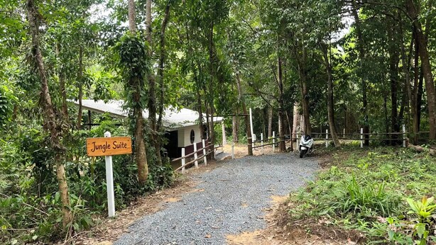 A gravel path leading to a building labeled 'Jungle Suite' surrounded by dense forest. - Kood Life !  1-bedroom   JUNGLE SUITE with AC in charming Ko Kut (ko kut)