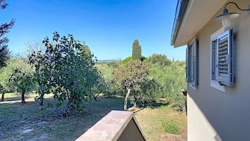 A residential property with a paved pathway leading to a house with a sloped roof and shutters.