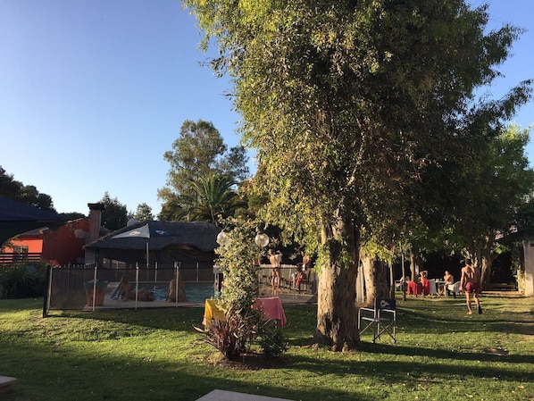 A backyard with a pool, a covered area, and trees.