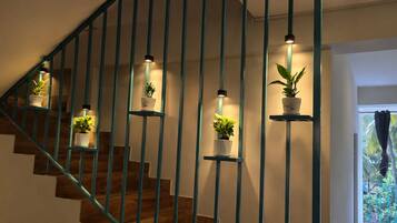 Una escalera con escalones de madera y barandillas color turquesa, flanqueada por plantas en macetas sobre estantes.
