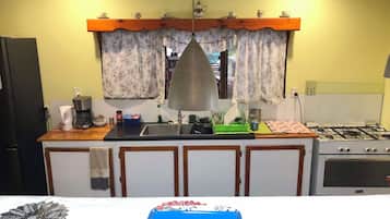 Une cuisine équipée d’une cuisinière, d’un évier et de divers appareils électroménagers.