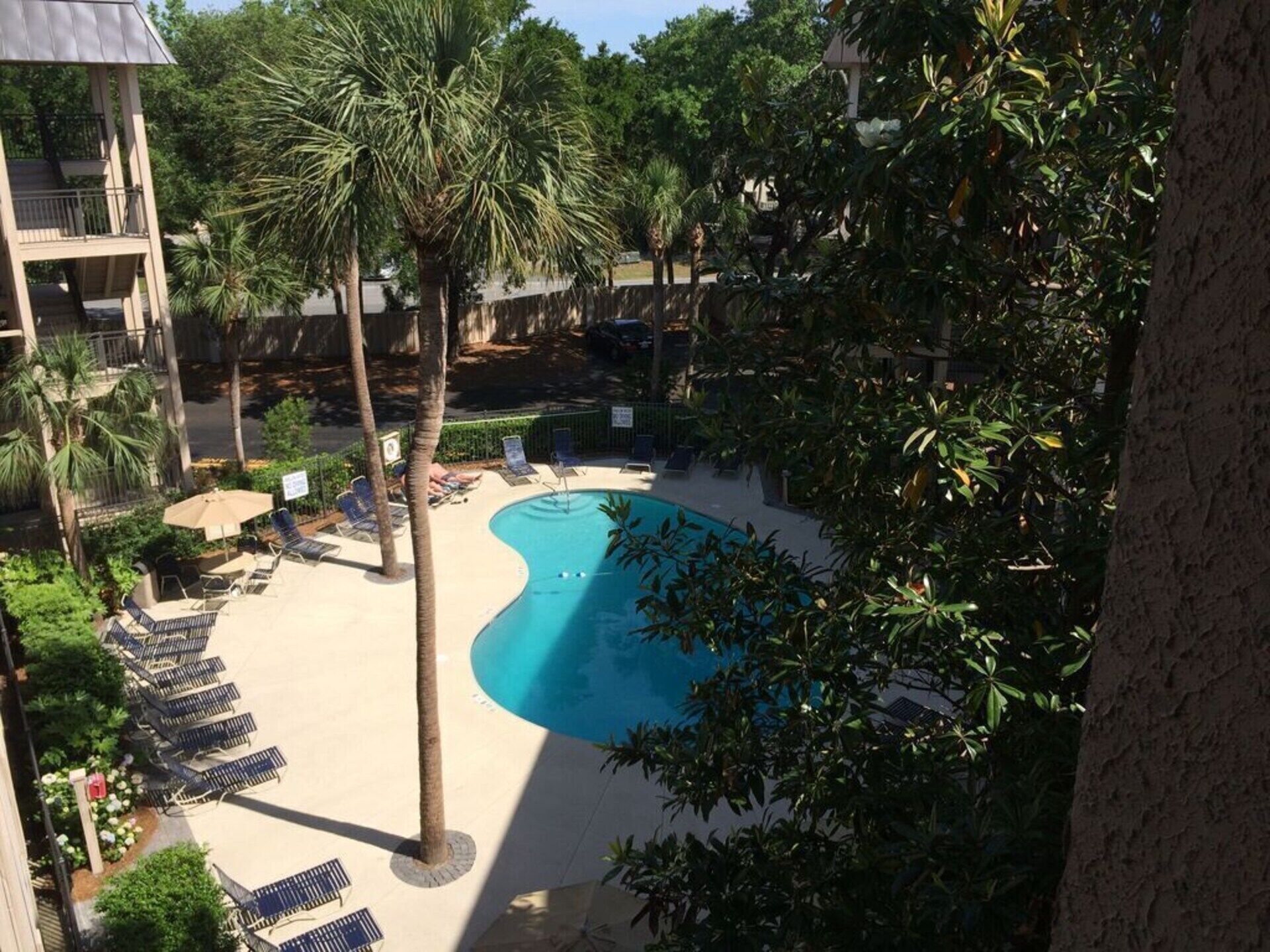 A pool area with lounge chairs and palm trees.