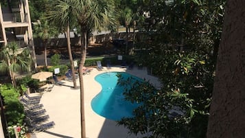 A pool area with lounge chairs and palm trees.