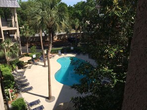 A pool area with lounge chairs and palm trees. - Direct Oceanfront: Million Dollar Sunrise Views & Steps to Coligny (Hilton Head Island)