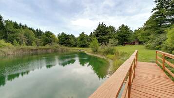 A wooden deck leading to a calm pond surrounded by lush greenery and trees.
