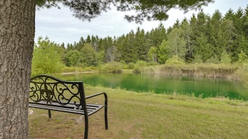 A bench by a lake with trees in the background.