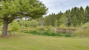 A park with a large tree, a bench, and a pond surrounded by grass and trees.