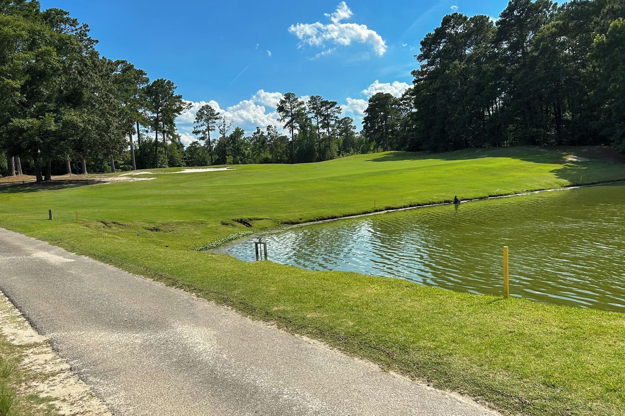 A golf course with a pond, a walking path, and a clear sky.