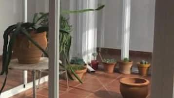 Een glazen deur die uitkomt op een patio met plantenpotten en een betegelde vloer.