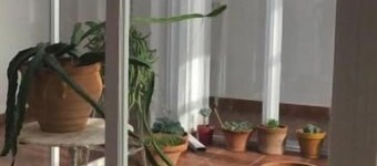 Albergue peregrinos El Carrascalejo