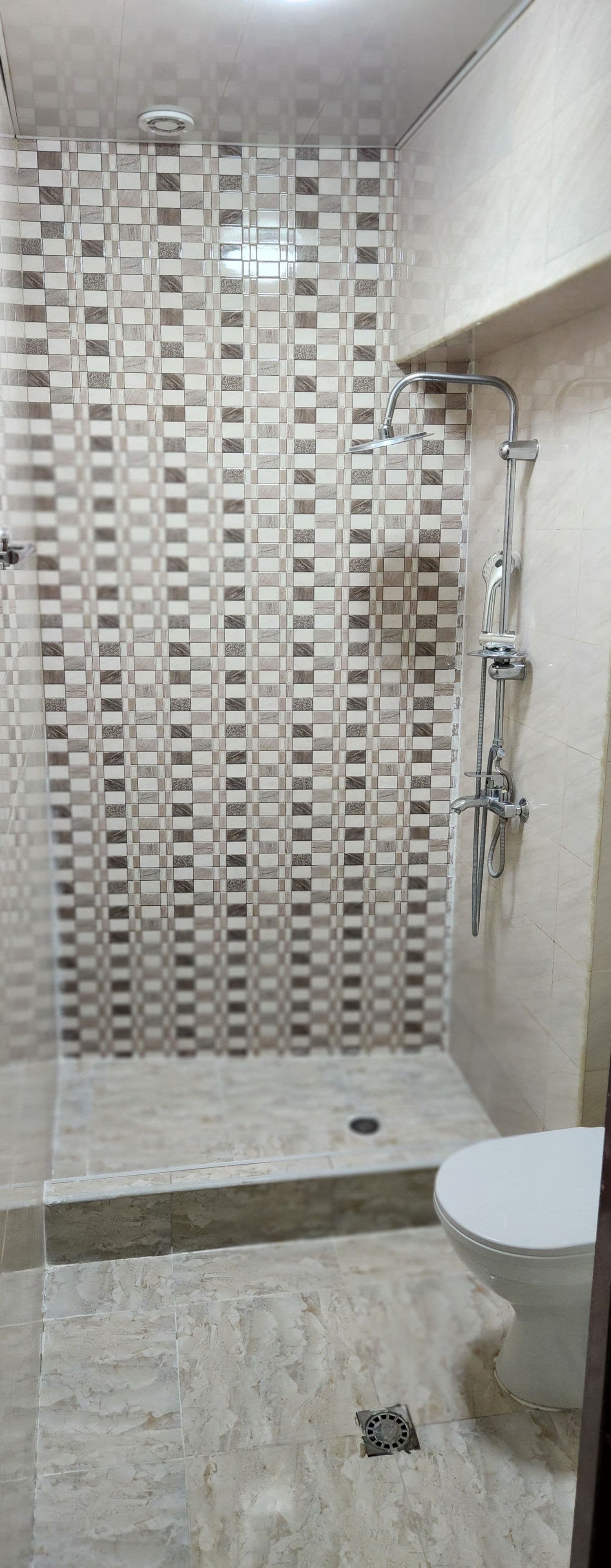 Une salle de bain avec une douche carrelée, des toilettes et un drain apparent.