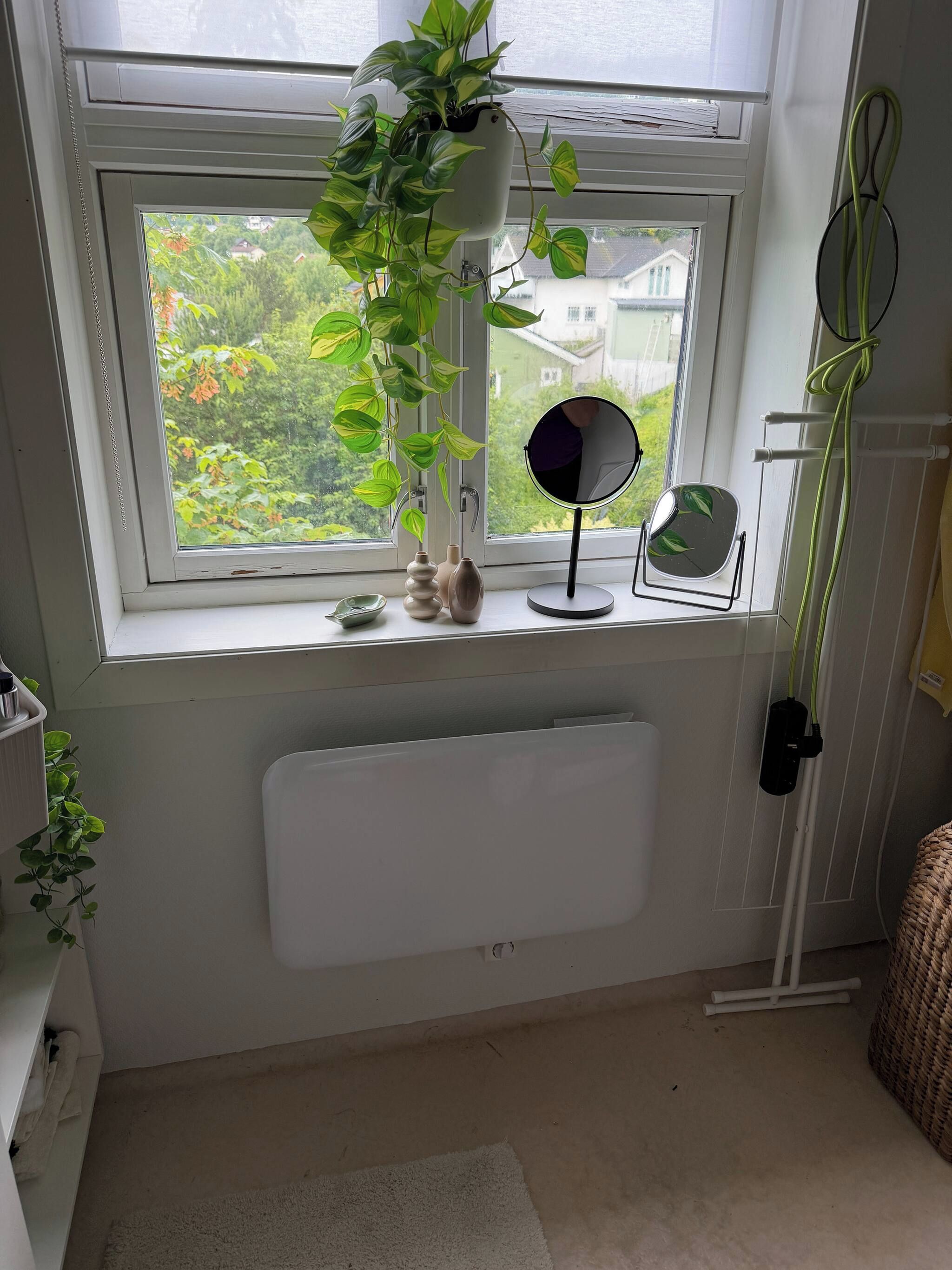 A room with a window, a radiator, a mirror, and a hanging plant.