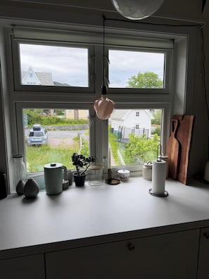 A kitchen counter with a hanging light fixture, a potted plant, and various kitchen items. - Central 2-bedroom Sea View Apartment (Volda)