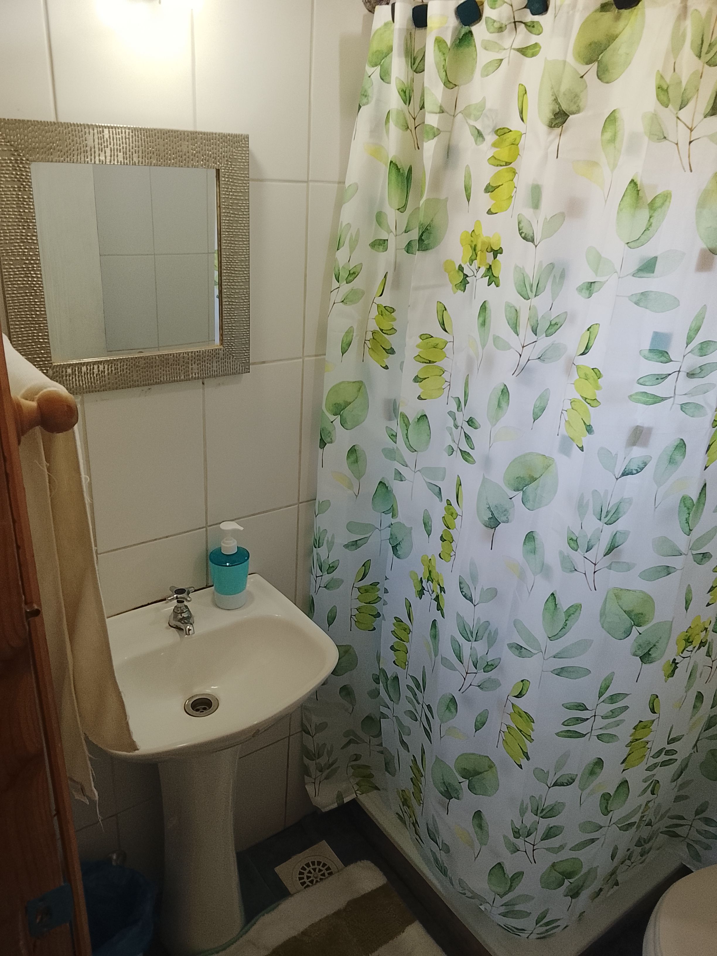 A bathroom with a white sink, a mirror, and a shower curtain with a leaf pattern.
